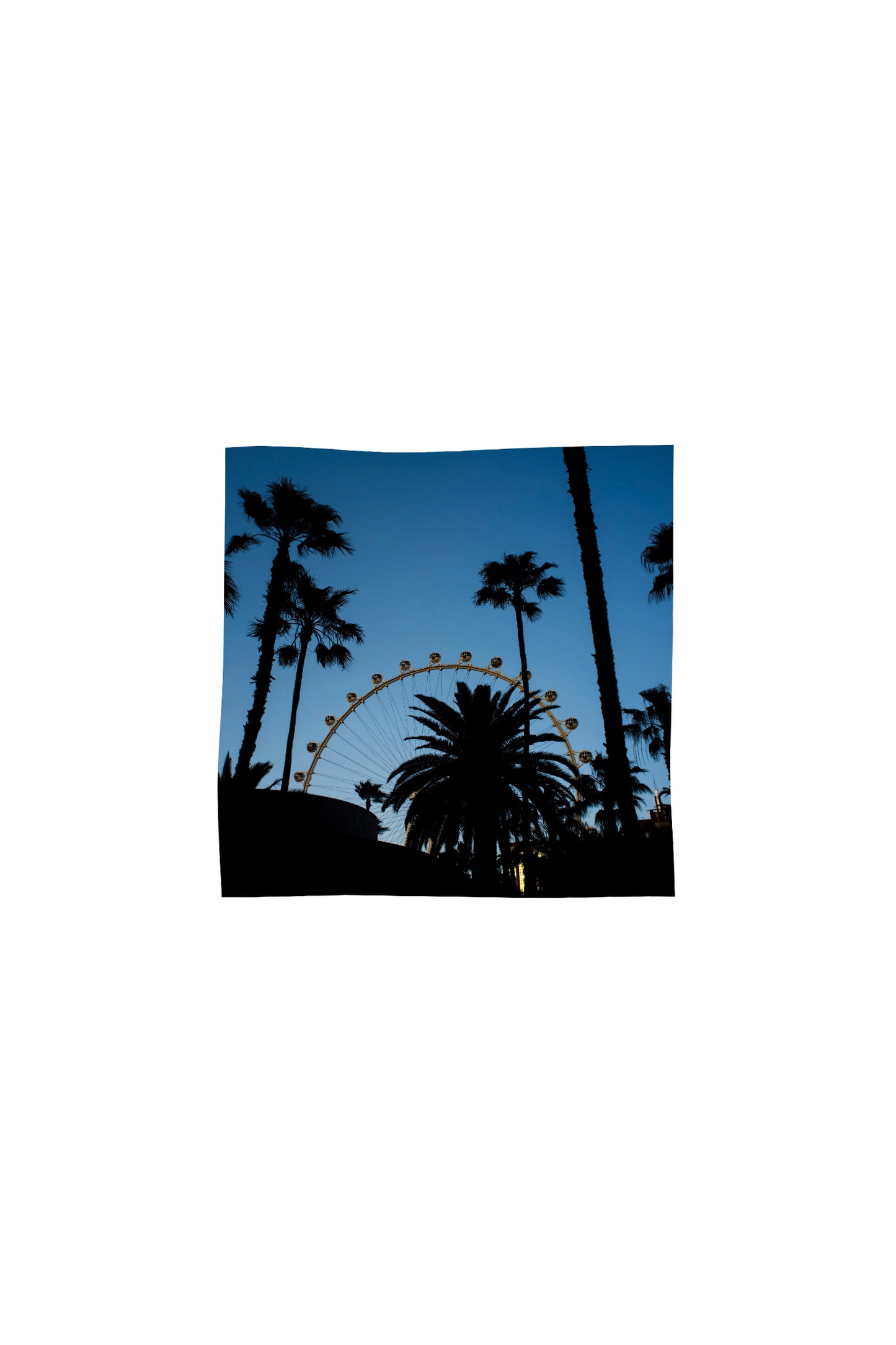 Purple X Blue Sky bandana featuring a photorealistic graphic, made of 100% silk.