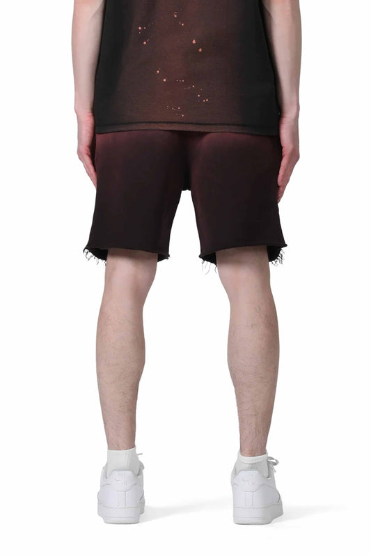 Wordmark Gradient Shorts