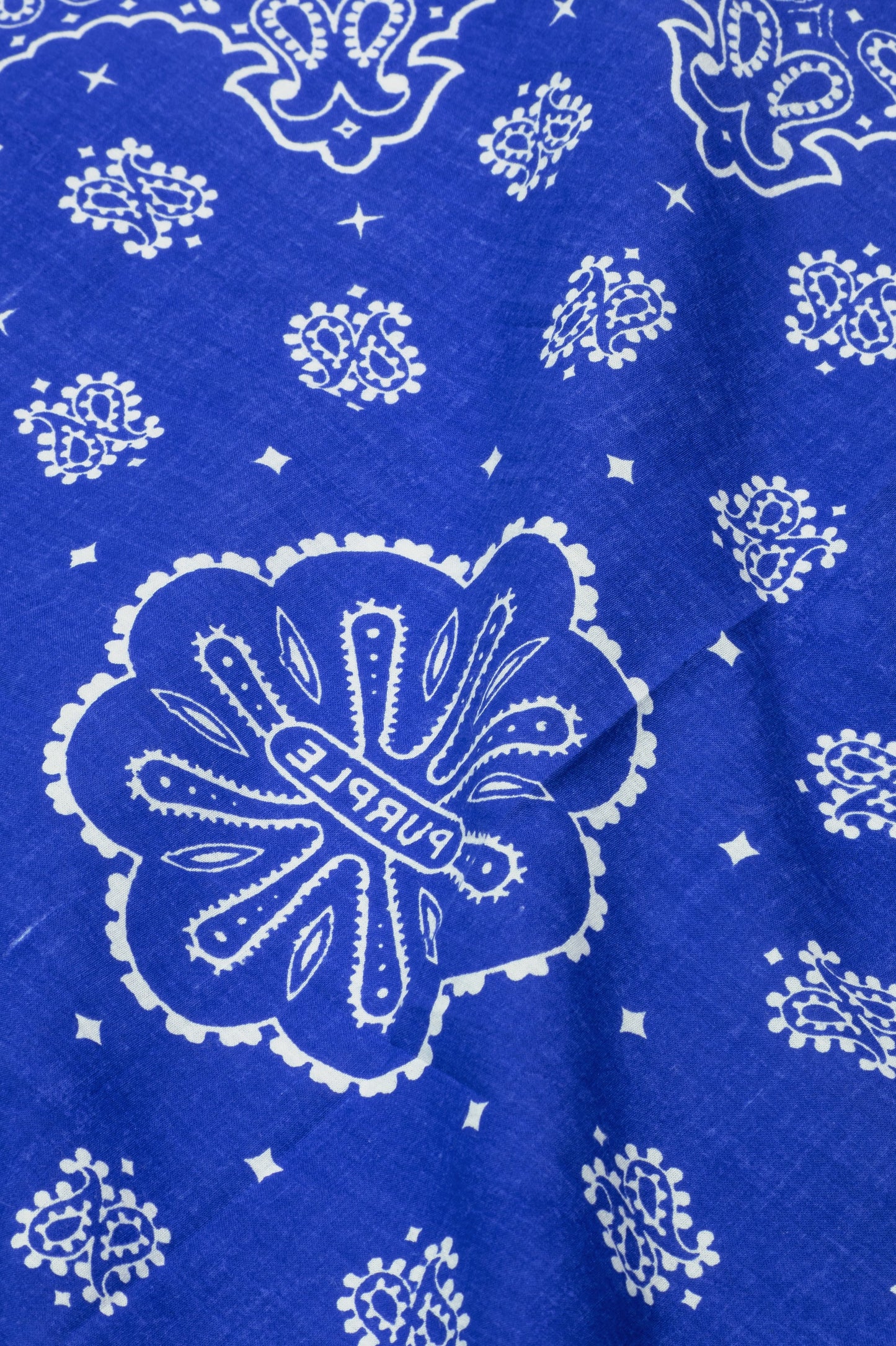 Paisley Bandana