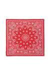 Paisley Bandana