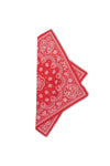 Paisley Bandana