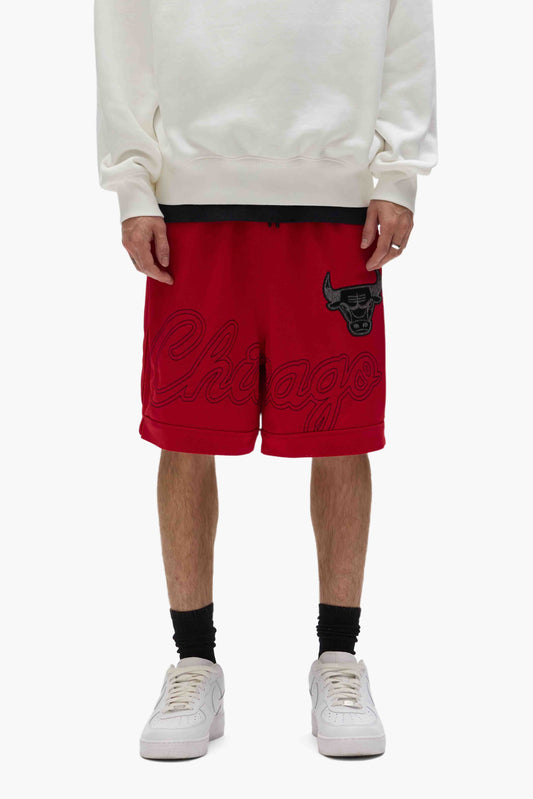 Chicago Bulls Mesh Shorts