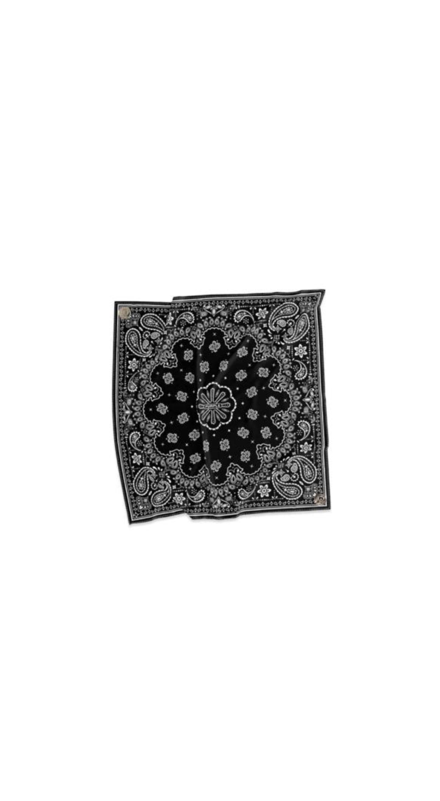 Paisley Leather Bandana