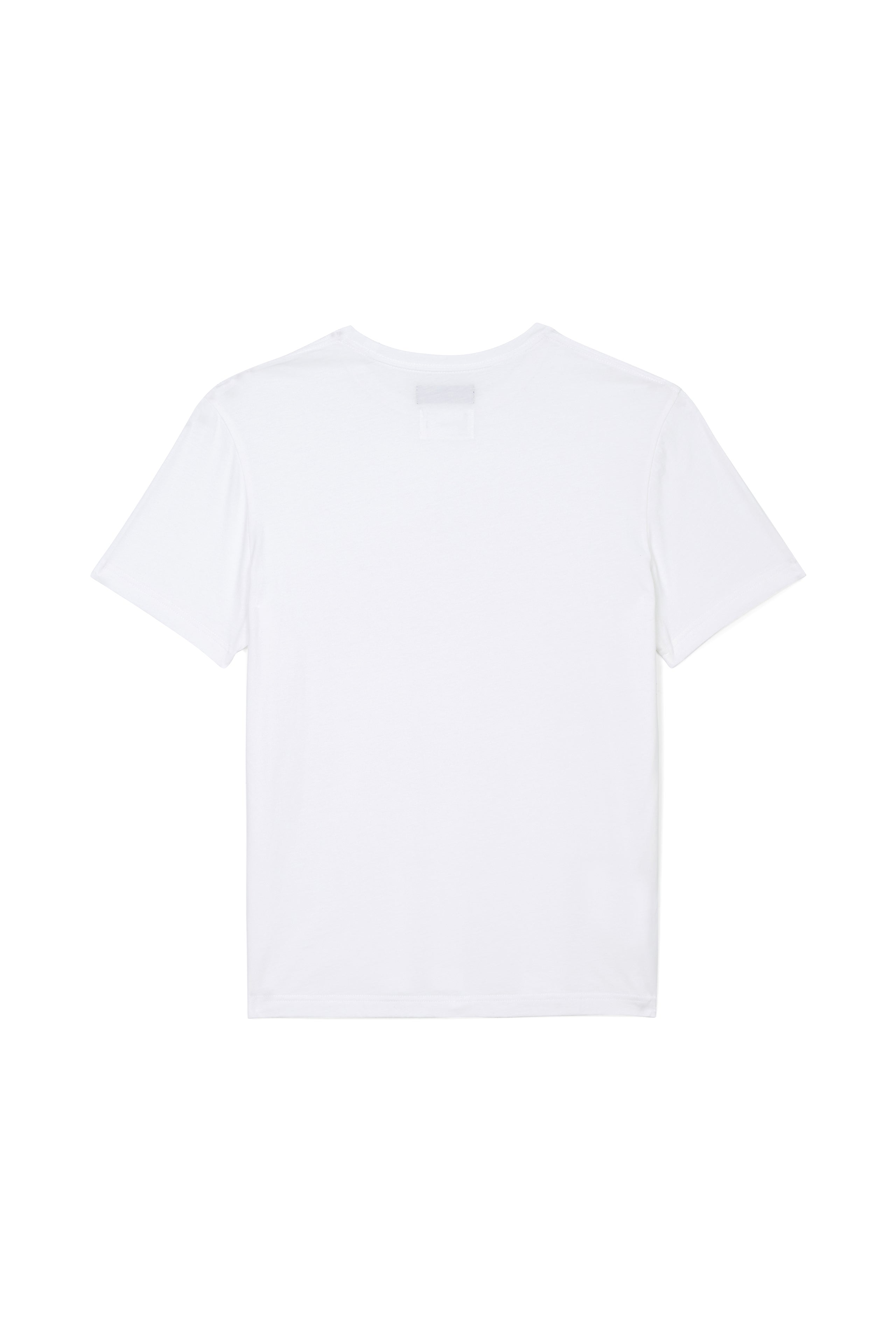 P113 REGULAR FIT T-SHIRT 3 PACK - White