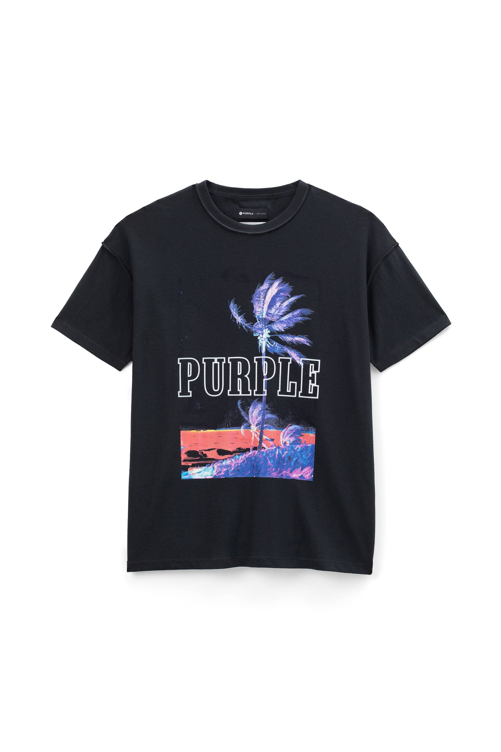 PURPLE BRAND - Men's Relaxed Fit T-Shirt - Style No. P101 - Palm Inside Out Wash Black - Front